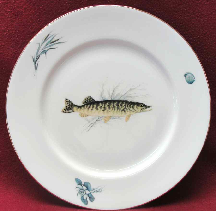 GIN253 Dinner Plate by Ginori 1735-1