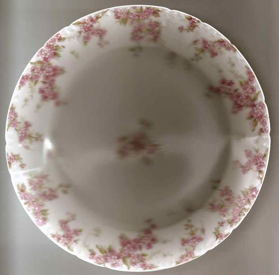 Schleiger 1289-2 Bread & Butter Plate by Charles Field Haviland-1