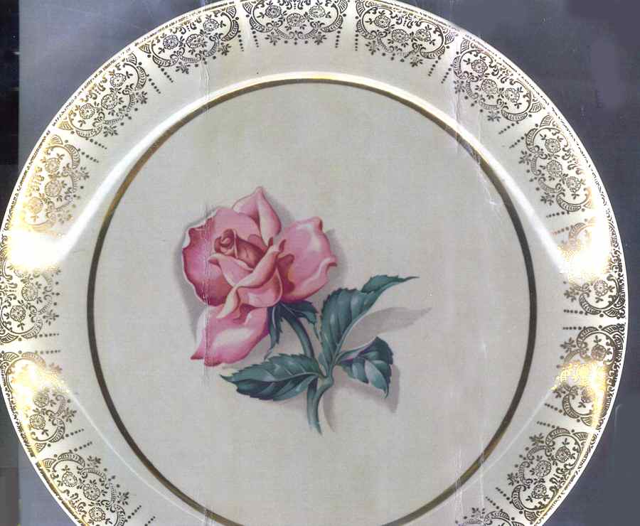 GEO500 Dinner Plate by WS George-1