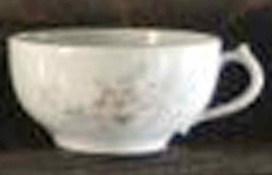 GDA365 Flat Cup by Gerard, Dufraisseix & Abbot-1