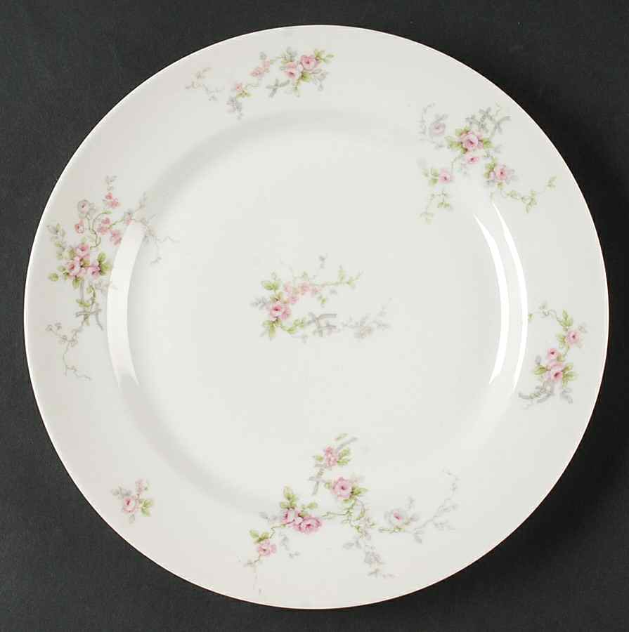 GDA365 Dinner Plate by Gerard, Dufraisseix & Abbot-1