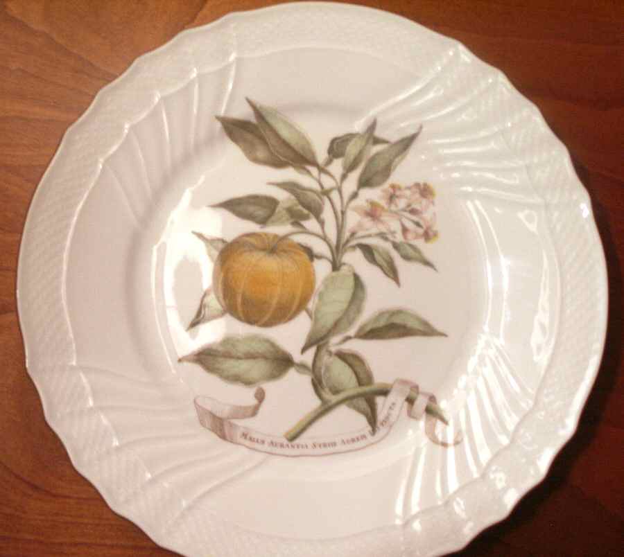 GIN266 Dinner Plate by Ginori 1735-1