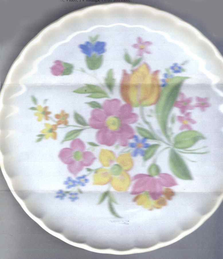 GEO509 Dinner Plate by WS George-1