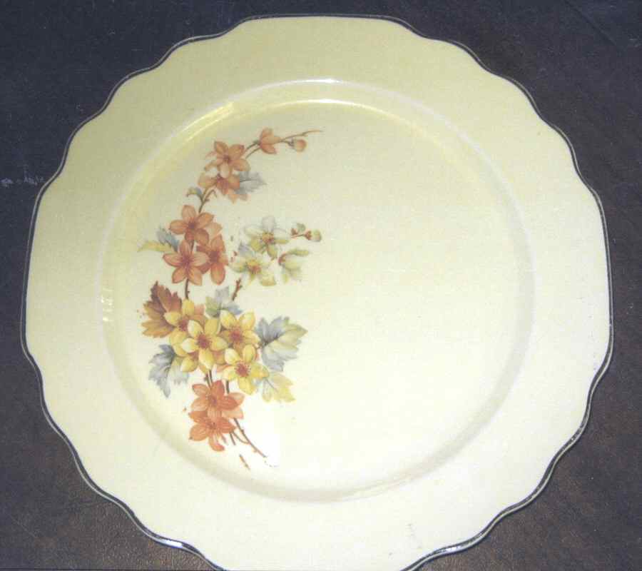 588477H Dinner Plate by WS George-1