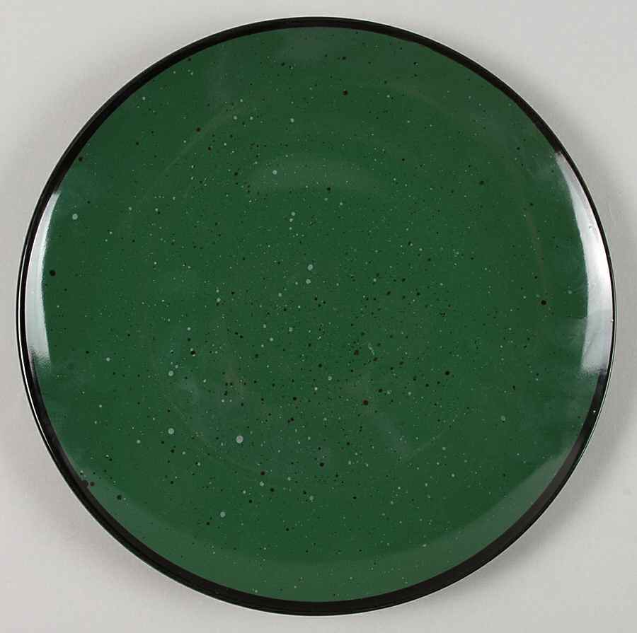 Sensations Elements Green Dinner Plate by Gibson Designs-1