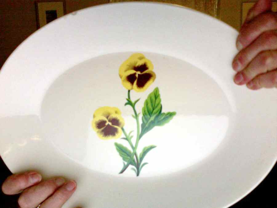 80780 12" Oval Serving Platter by WS George-1