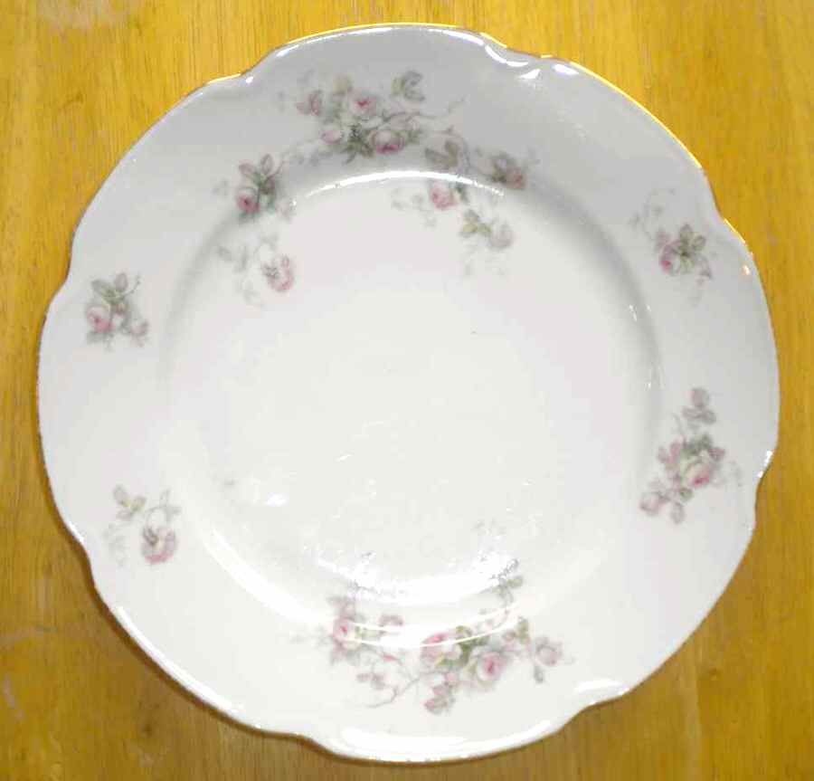 GEI3 Dinner Plate by Gebruder Benedikt-1