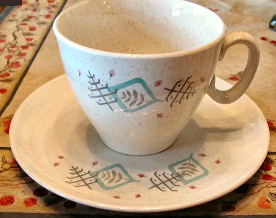 Arbor Flat Cup & Saucer Set by WS George-1