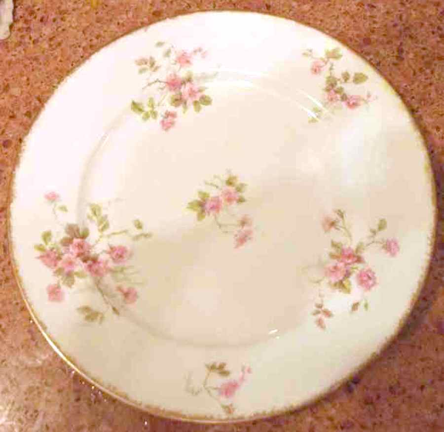 GDA380 Dinner Plate by Gerard, Dufraisseix & Abbot-1