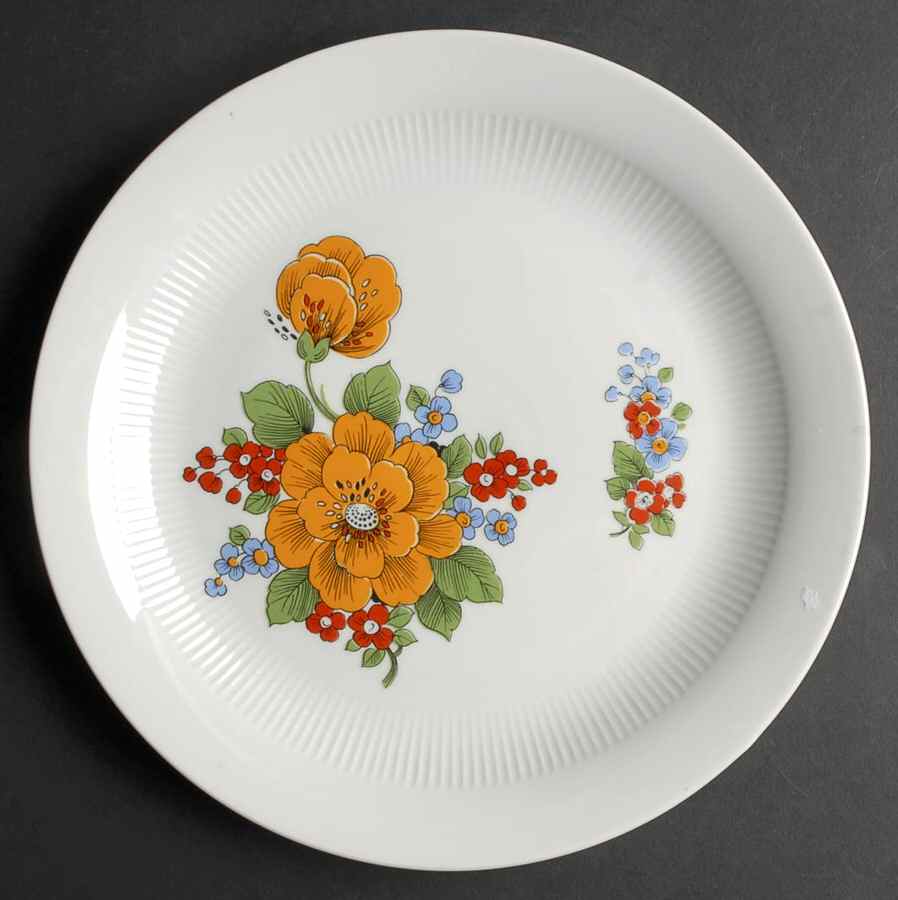 CZ55 Dinner Plate by Colditz Porzellan-1