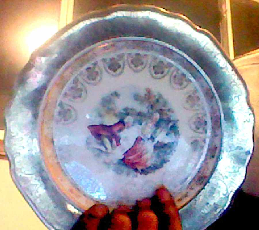 GEO522 Dinner Plate by WS George-1