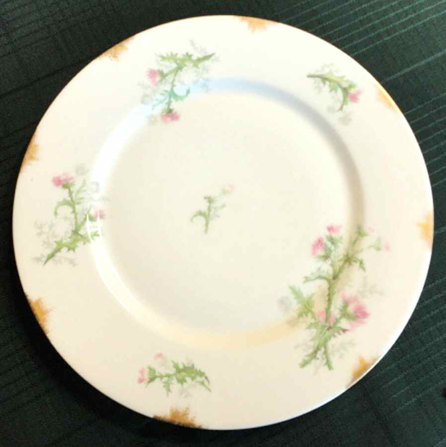 GUE663 Dinner Plate by WM Guerin-1