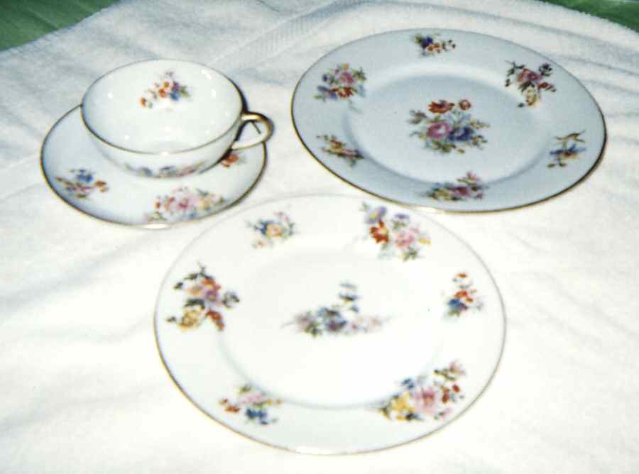 GUE664 Dinner Plate by WM Guerin-1