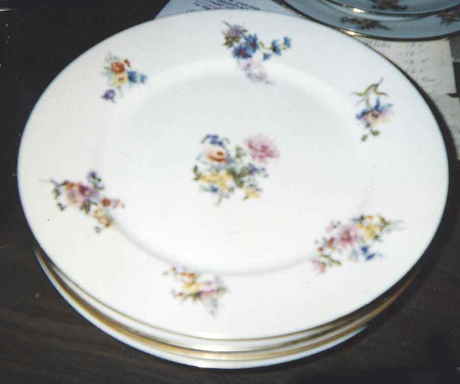 GUE664 Dinner Plate by WM Guerin-1