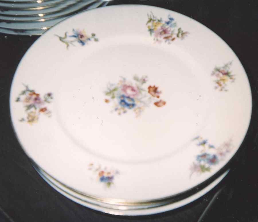 GUE664 Dinner Plate by WM Guerin-1