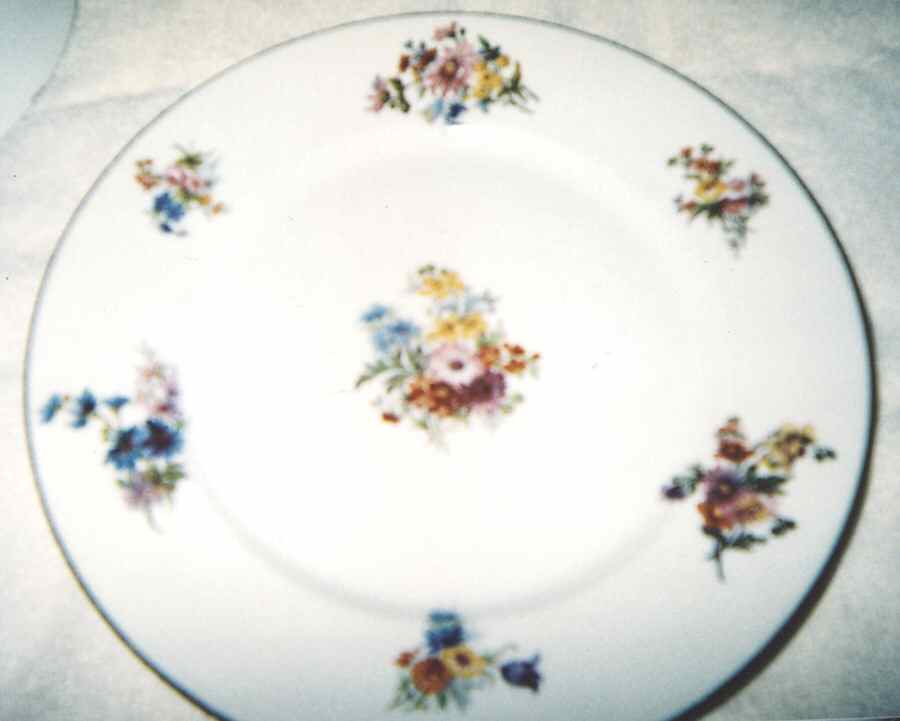 GUE664 Dinner Plate by WM Guerin-1