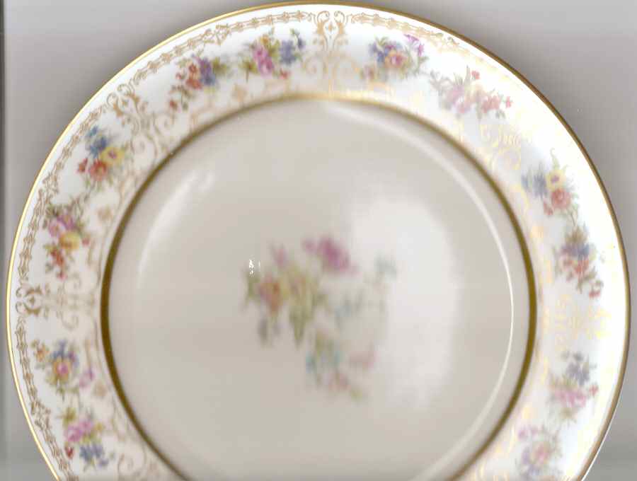 GUE665 Dinner Plate by WM Guerin-1