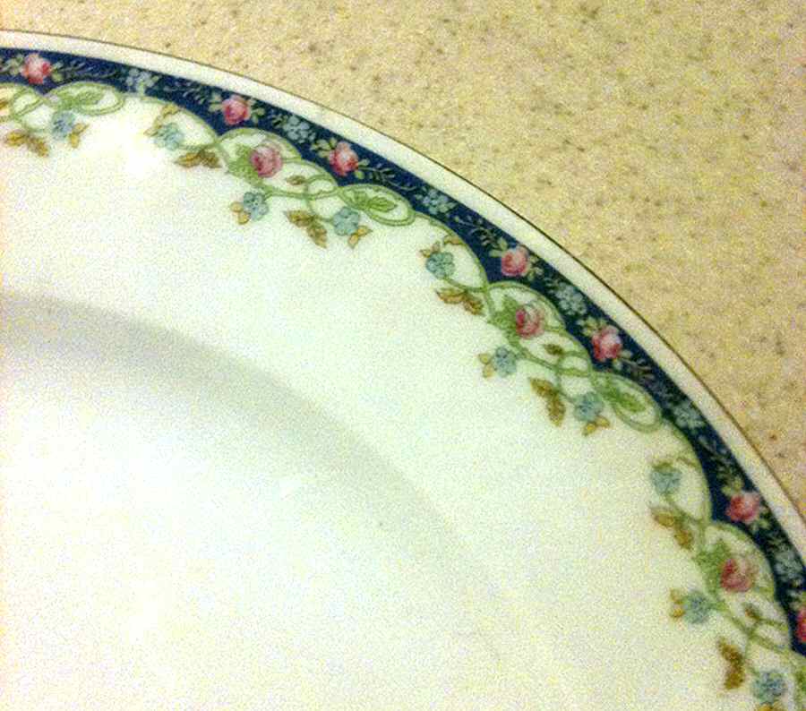 GMY260 Dinner Plate by Germany-1