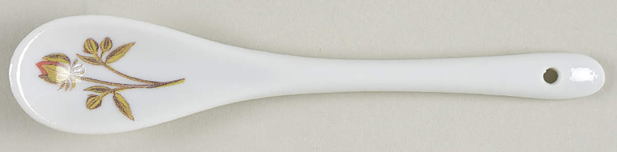 National Audubon Society Spoon for Mug & Spoon Set by Godinger-1