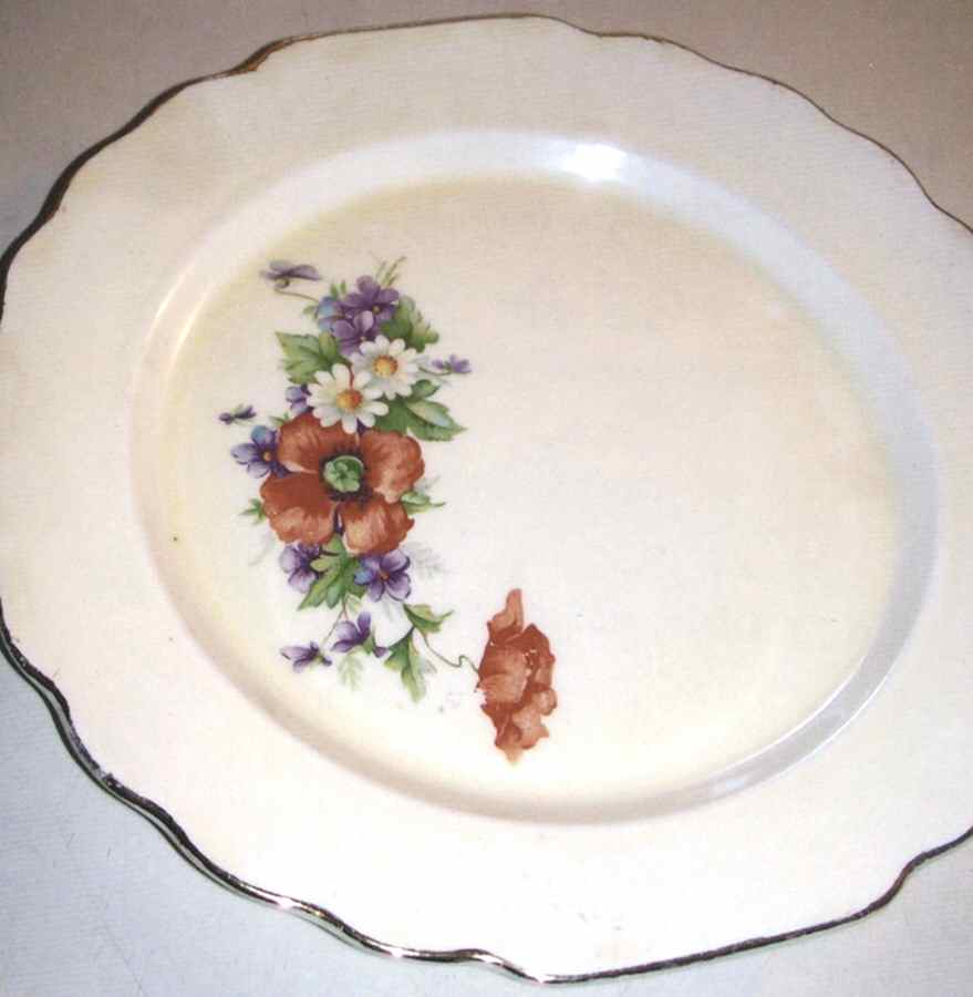 GEO527 Dinner Plate by WS George-1