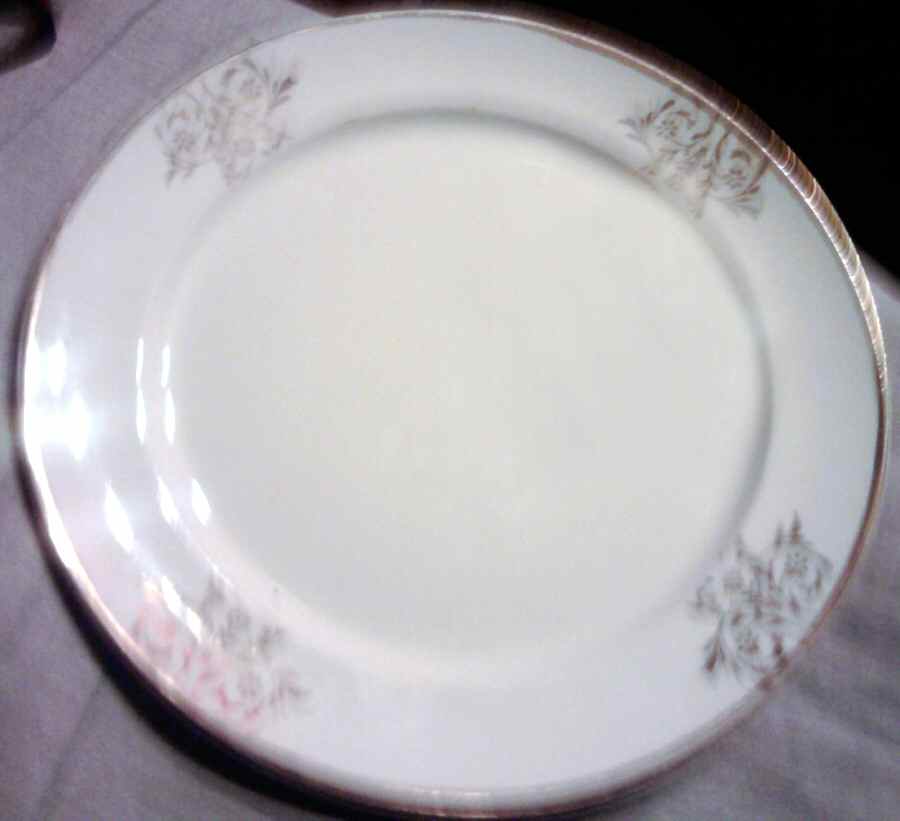 GEO416 Dinner Plate by WS George-1
