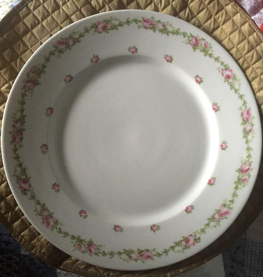 GUE671 Dinner Plate by WM Guerin-1