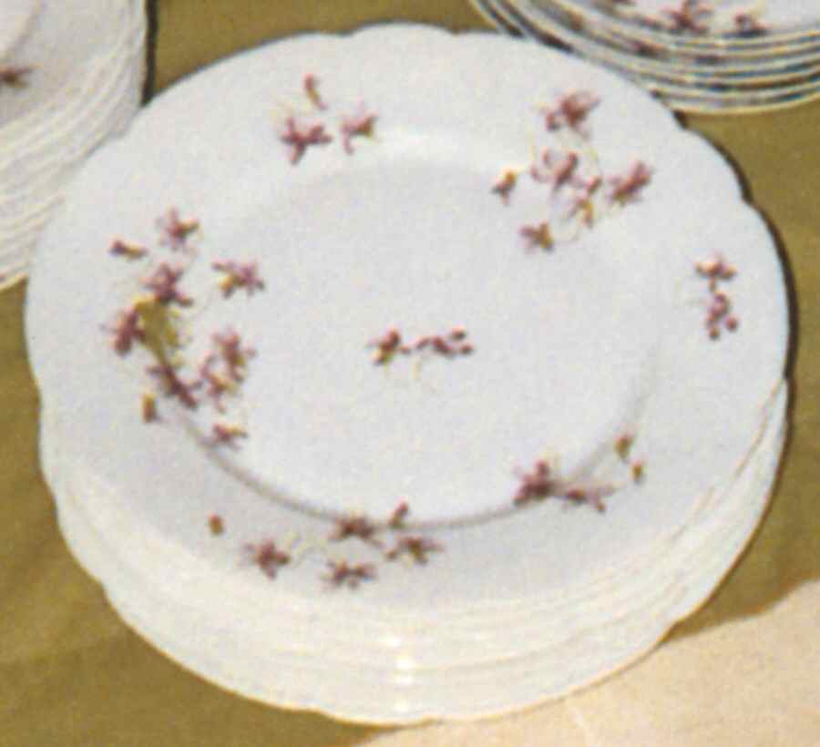 GUE673 Dinner Plate by WM Guerin-1