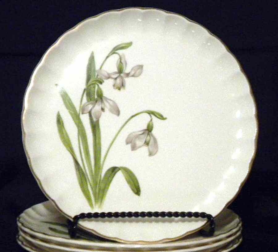 B8781 Dinner Plate by WS George-1