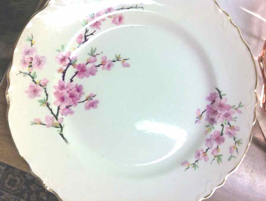 Peach Blossom (Radisson) Dinner Plate by WS George-1