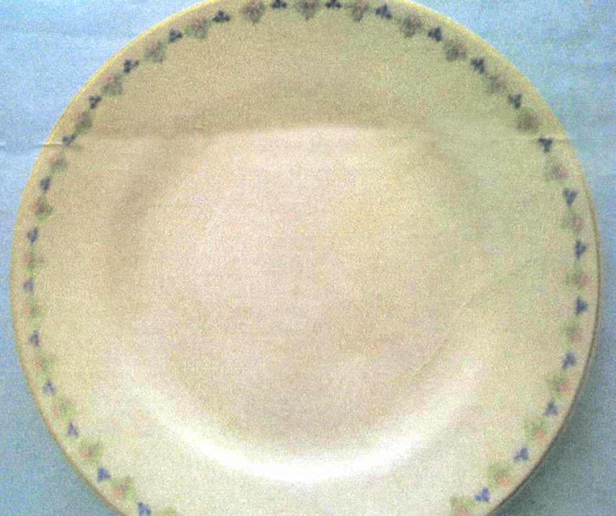 GEO535 Dinner Plate by WS George-1
