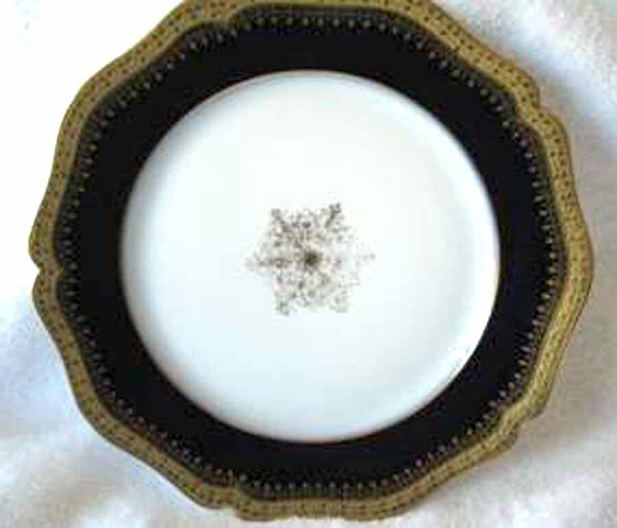 GUE688 Dinner Plate by WM Guerin-1