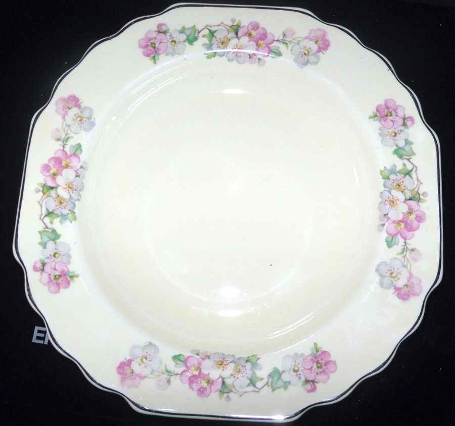 126A Dinner Plate by WS George-1