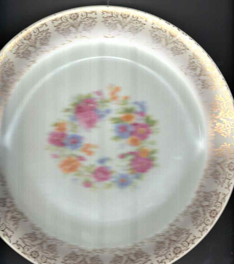 GLD51 Dinner Plate by Gladstone-1