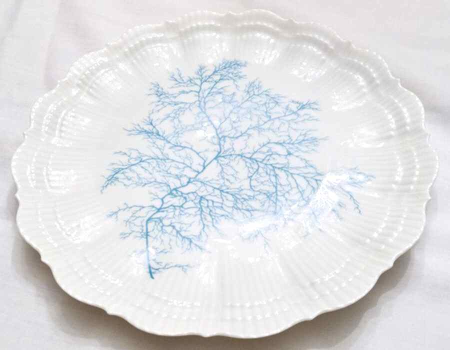 GIR38 Dinner Plate by Giraud China-1
