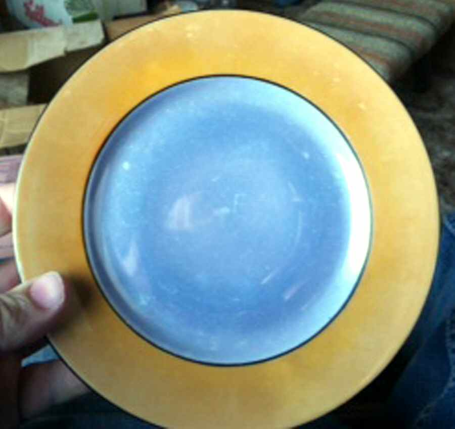 GMY298 Dinner Plate by Germany-1