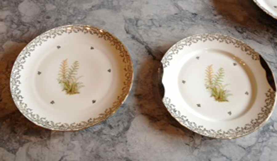 GIR40 Dinner Plate by Giraud China-1