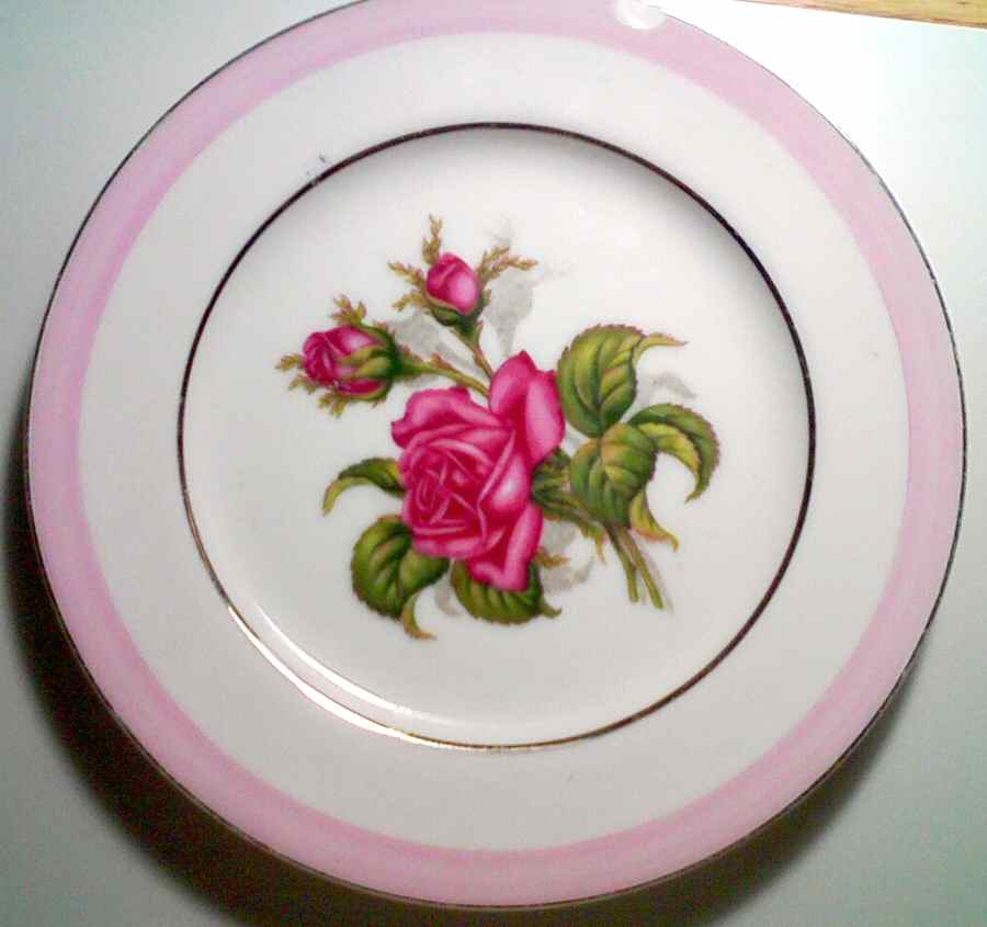 GCO13 Dinner Plate by Gold Coast-1