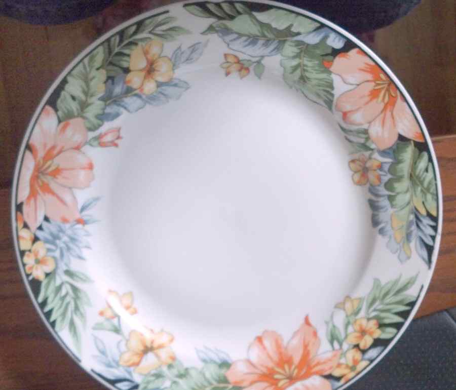 GID302 Dinner Plate by Gibson Designs-1