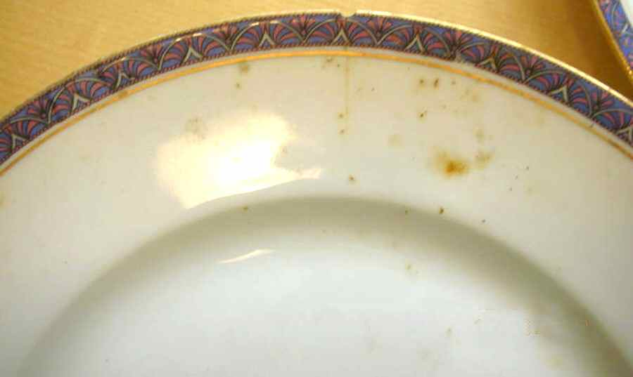 GUE729 Salad Plate by WM Guerin-1