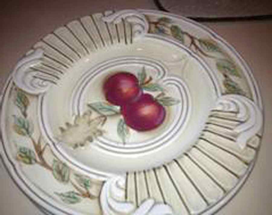 Ponte Vecchio Apple Dinner Plate by Gibson Designs-1