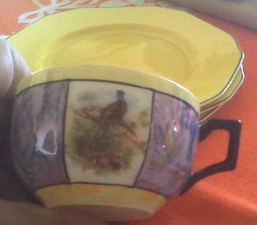 GMY315 Flat Cup & Saucer Set by Germany-1