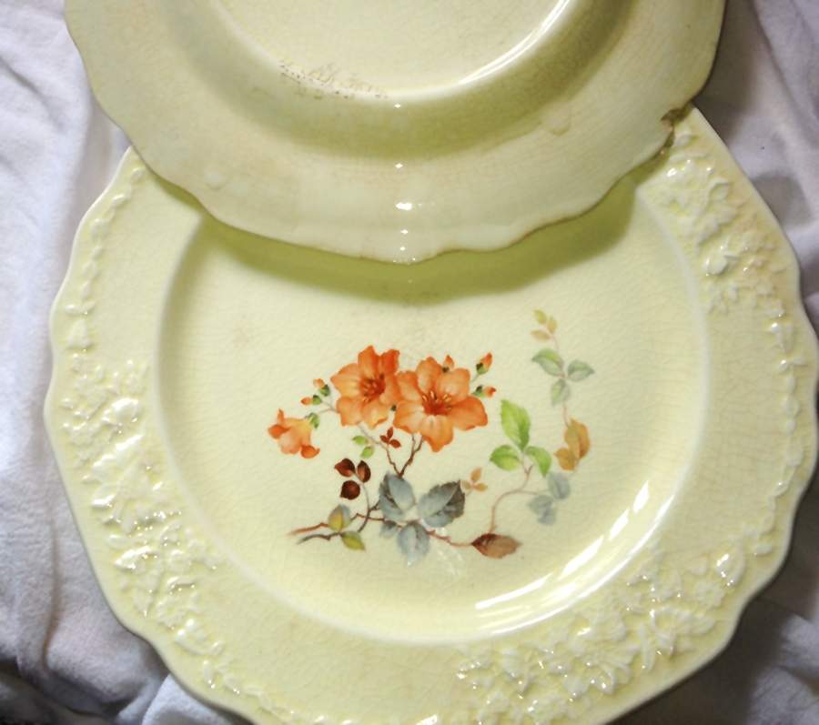 GEO564 Dinner Plate by WS George-1