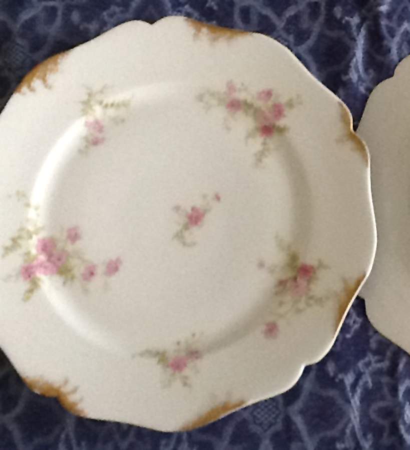 GUE740 Dinner Plate by WM Guerin-1
