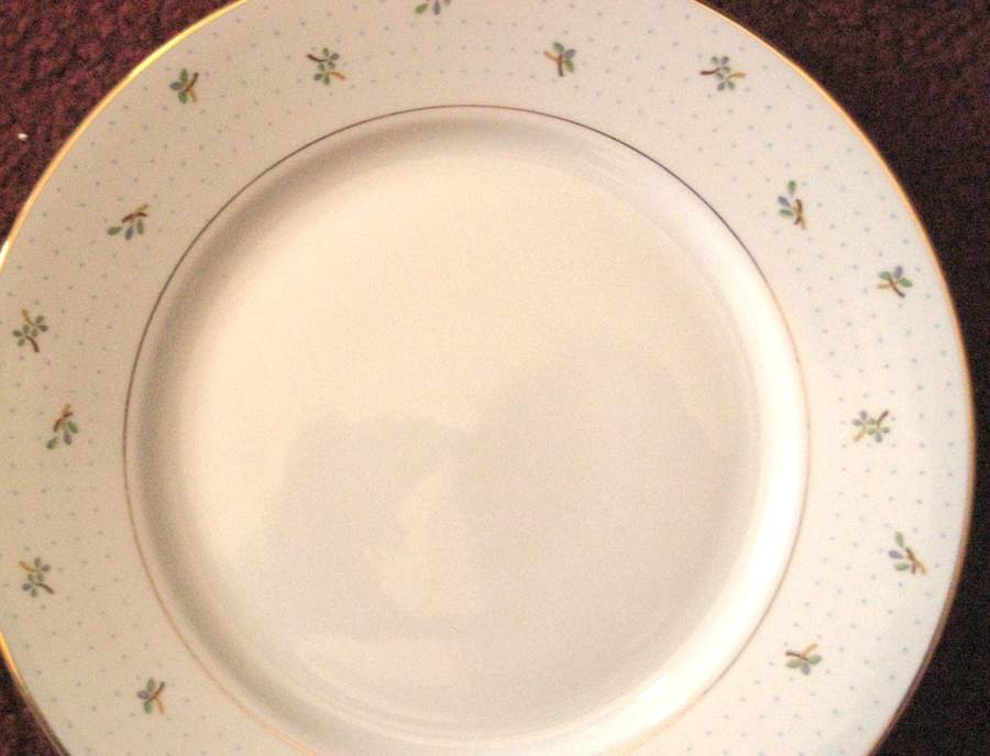 GIN88 Dinner Plate by Ginori 1735-1