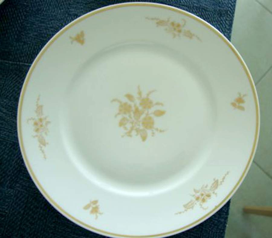 GIN315 Dinner Plate by Ginori 1735-1