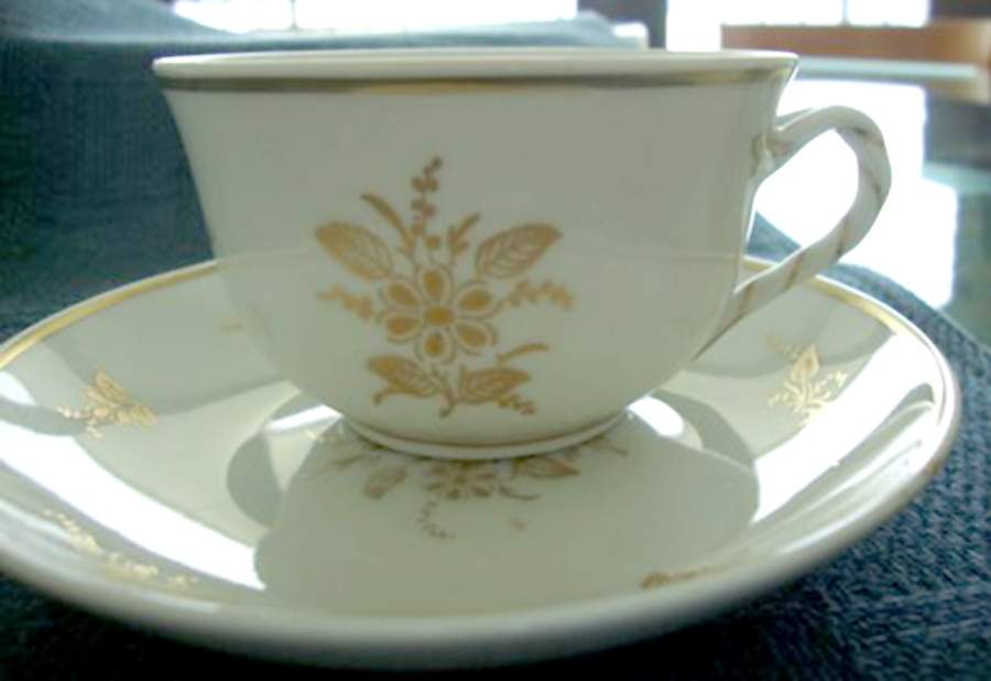GIN315 Flat Cup & Saucer Set by Ginori 1735-1