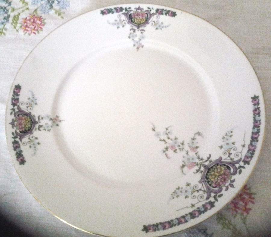 SCD170 Dinner Plate by Schonwald-1