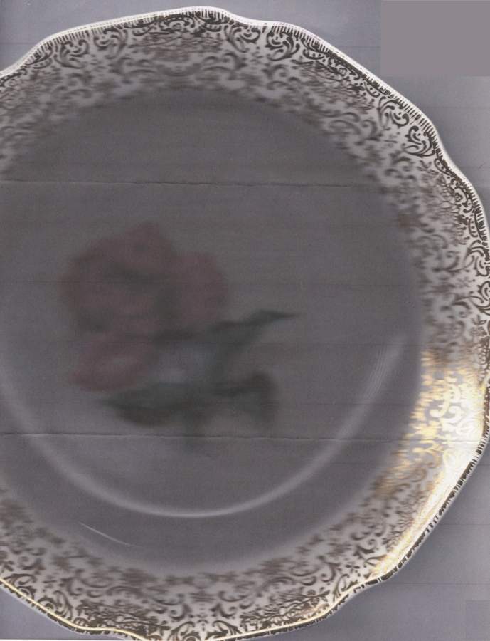 GRG33 Dinner Plate by Georgian China-1