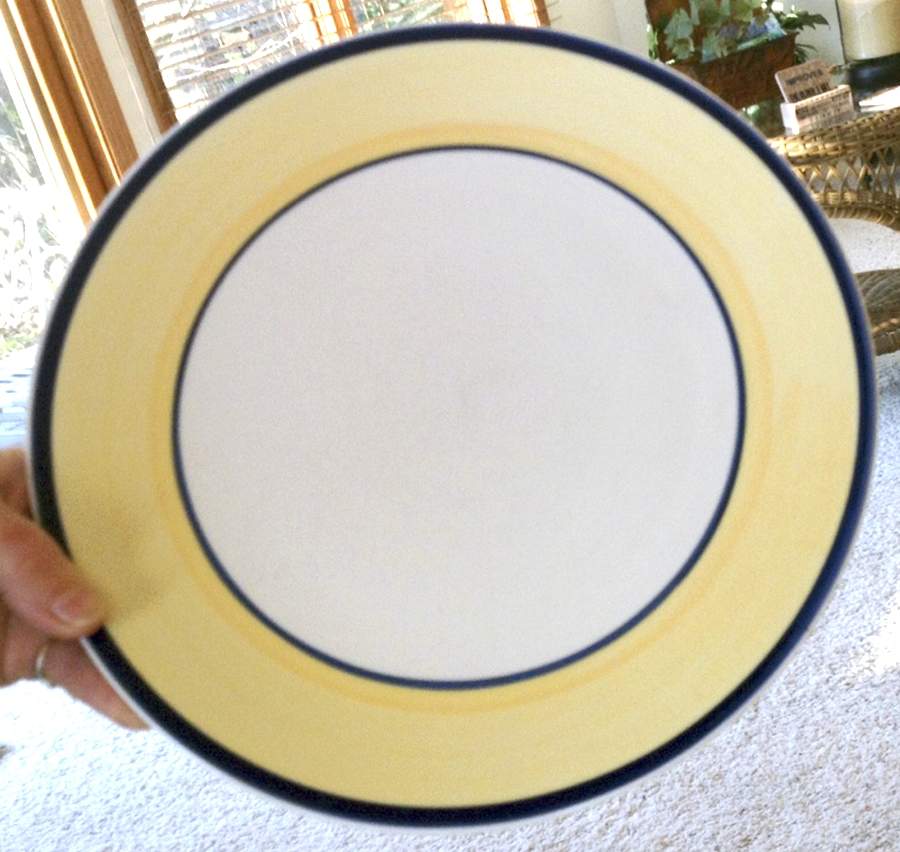 GID348 Dinner Plate by Gibson Designs-1