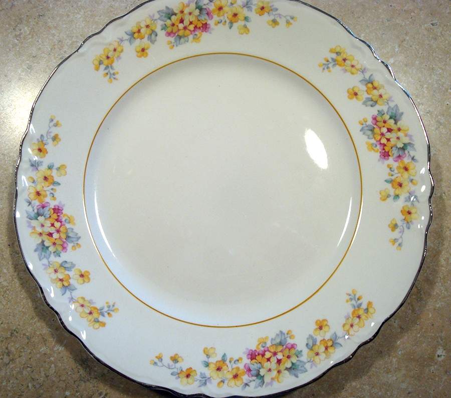 161B Dinner Plate by WS George-1